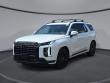 New 2025 Hyundai Palisade Calligraphy Night Edition AWD SUV