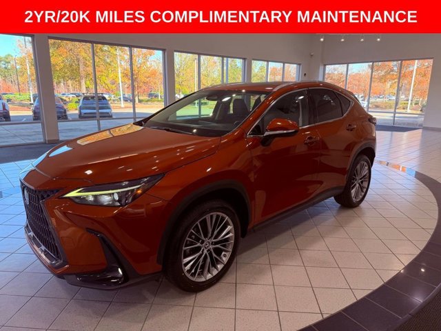 2022 Lexus NX 350h Premium photo 3