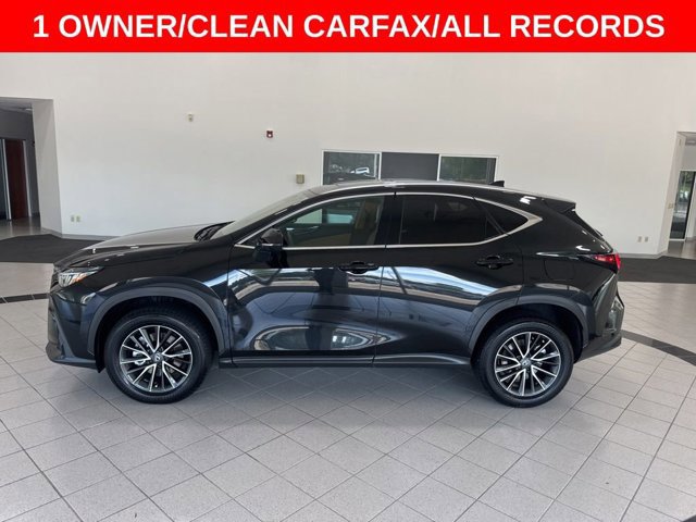 2025 Lexus NX 250 Premium photo 4