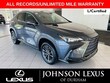 LEXUS NX 250