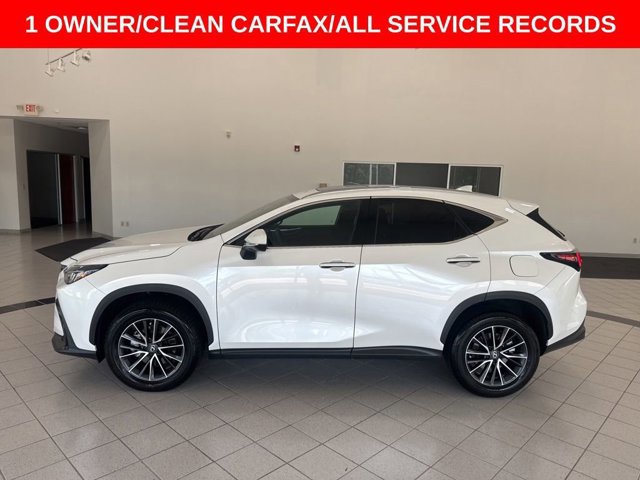 2025 Lexus NX 250 Premium photo 4
