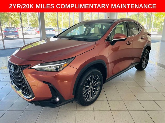 2025 Lexus NX 350 Luxury photo 3