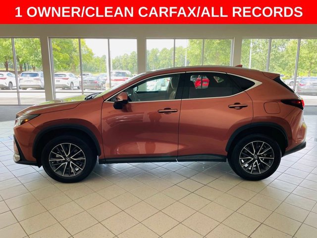 2025 Lexus NX 250 Premium photo 4