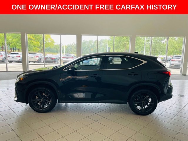 2022 Lexus NX 450h+ Luxury photo 3