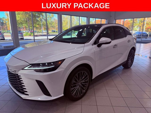 2024 Lexus RX 350 Luxury photo 3