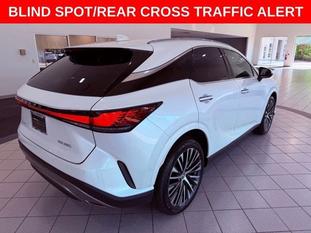 2024 Lexus RX 350 - Photo 9
