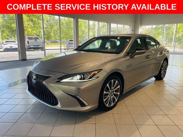 2019 Lexus ES 300h photo 2