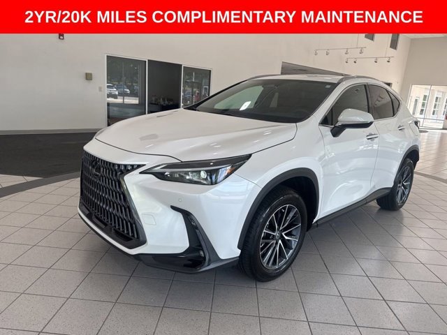 2025 Lexus NX 250 Premium photo 3