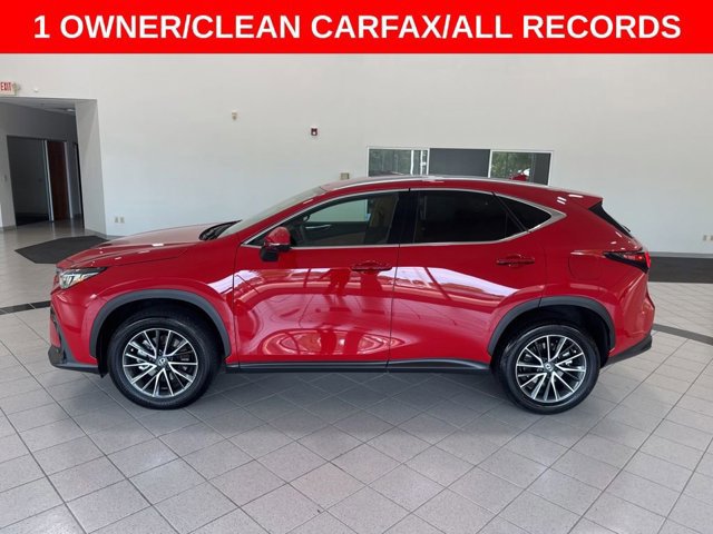 2025 Lexus NX 250 photo 4