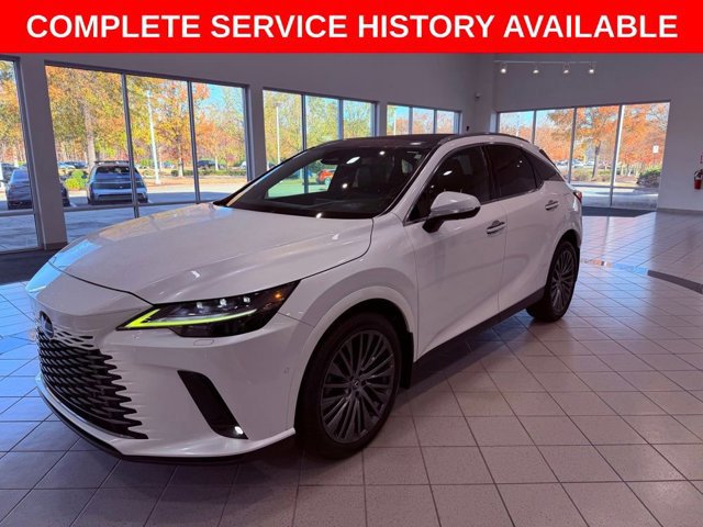 2023 Lexus RX 350 Luxury photo 3