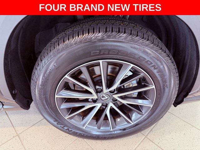 2024 Lexus NX 250 Premium photo 4