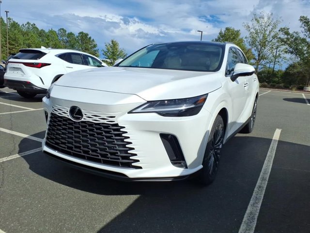 2025 Lexus RX 350 Luxury photo 3