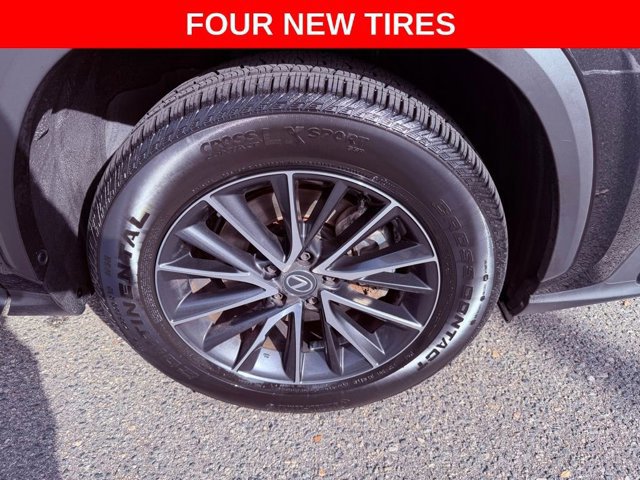 2024 Lexus NX 250 Premium photo 4