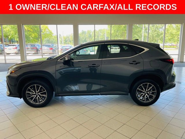 2025 Lexus NX 250 Premium photo 3