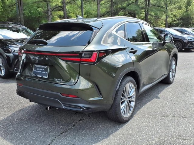 2025 Lexus NX 350 Luxury AWD photo 3