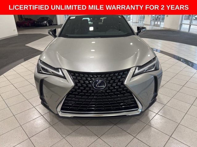 2019 Lexus UX 250h photo 2