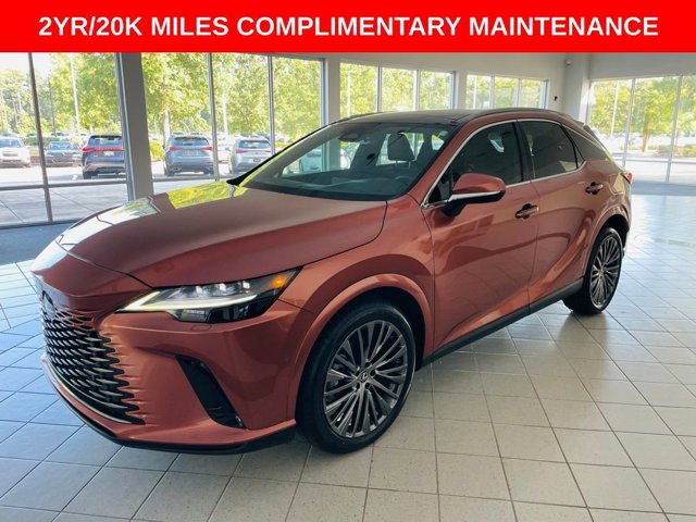 2023 Lexus RX 350 Luxury photo 3