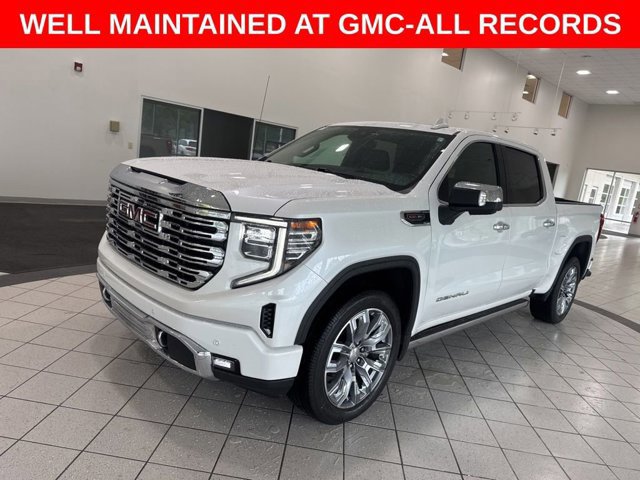 2022 Gmc Sierra 1500 Denali photo 3
