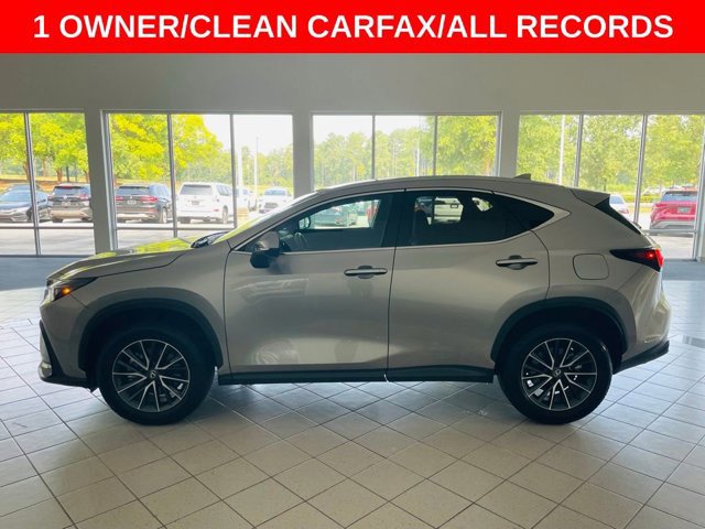 2025 Lexus NX 250 photo 4