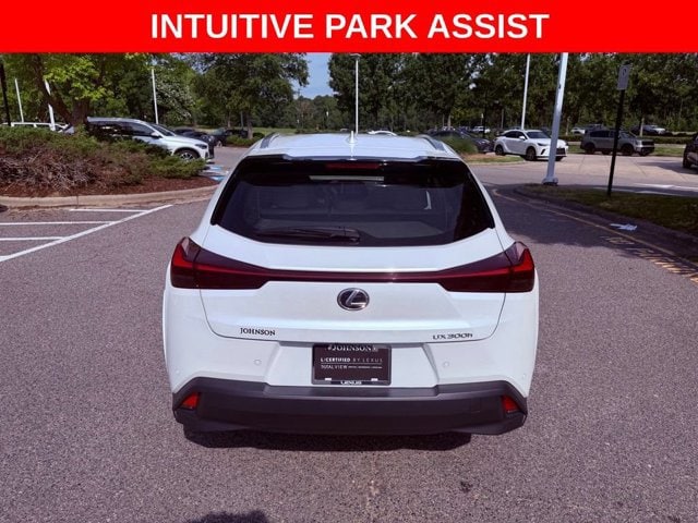 2025 Lexus UX Hybrid 300h Premium - Photo 6