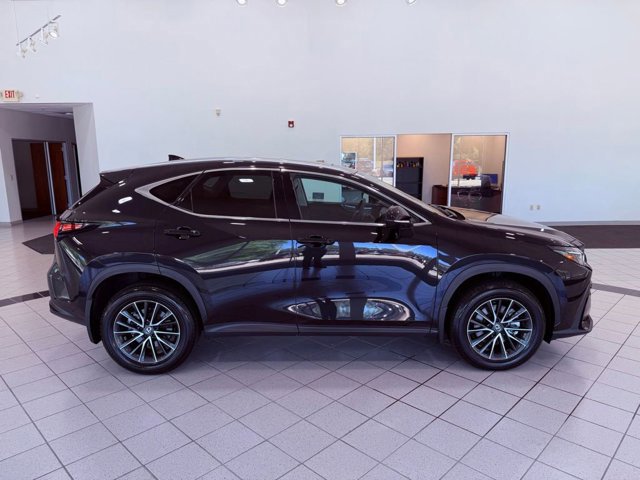 2024 Lexus NX 350 - Photo 14
