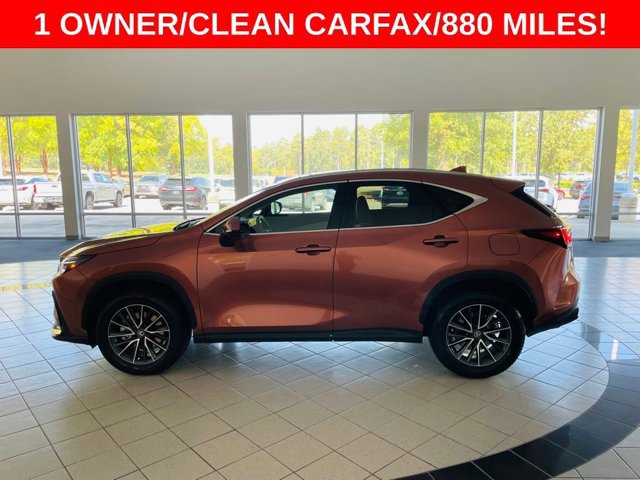 2025 Lexus NX 350 Luxury photo 4