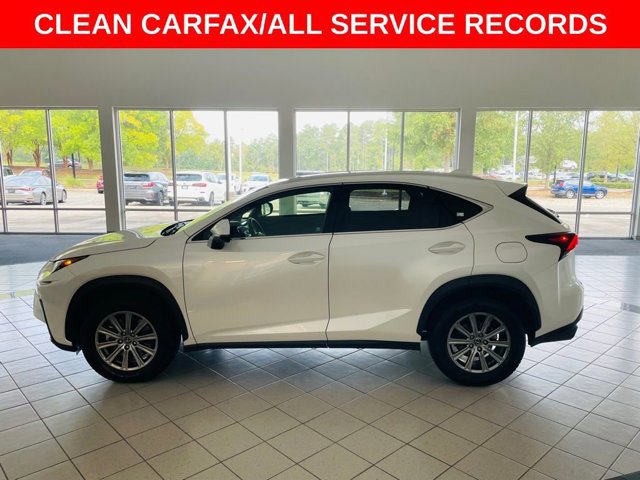 2019 Lexus NX 300 Luxury photo 4