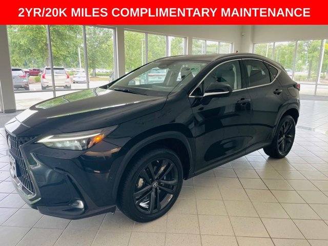 2022 Lexus NX 450h+ Luxury photo 2