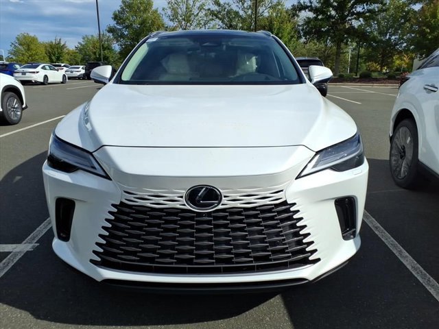 2025 Lexus RX 350 Luxury photo 2
