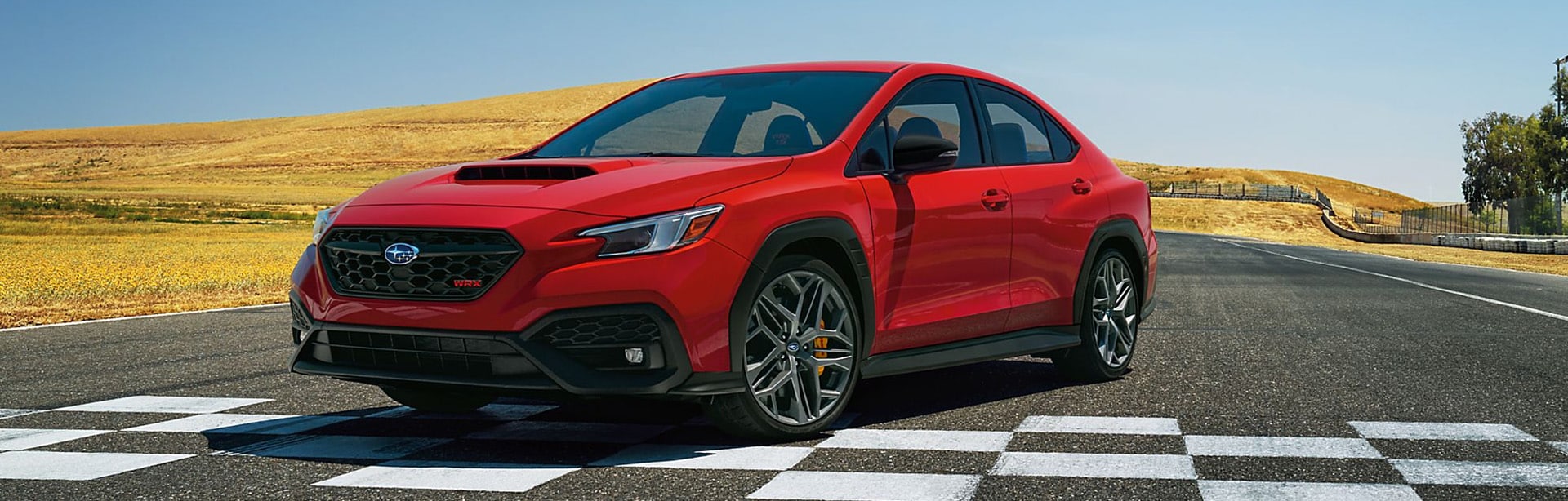 A Buyer's Guide for the 2025 Subaru WRX