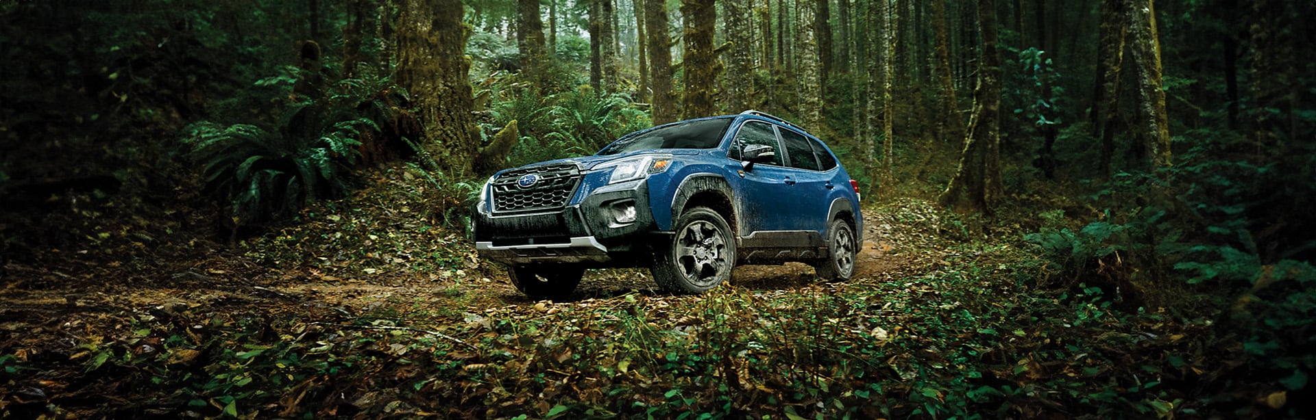 A Buyer's Guide for the 2025 Subaru Forester