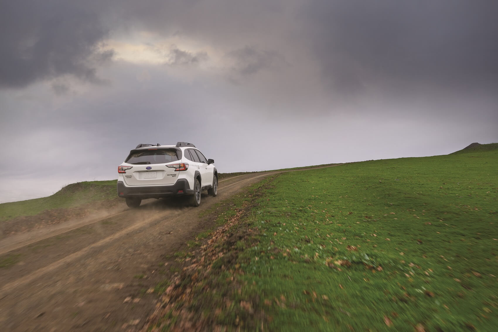 Diverse Subaru Perspectives: Assisting Every Driver