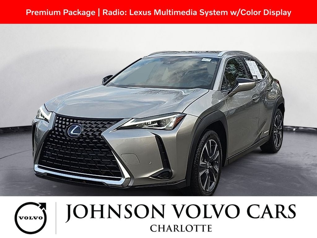 2021 Lexus UX Hybrid 250h's photo