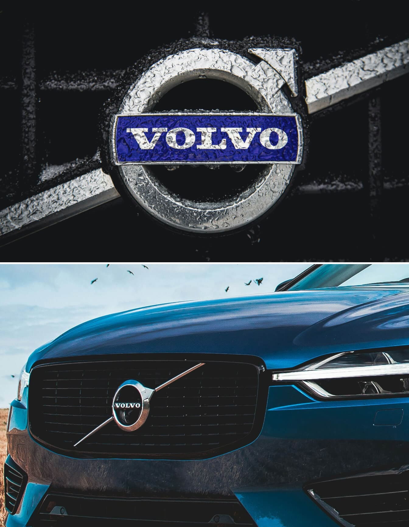 Steadfast Fortitude: Volvo Symbol Meaning