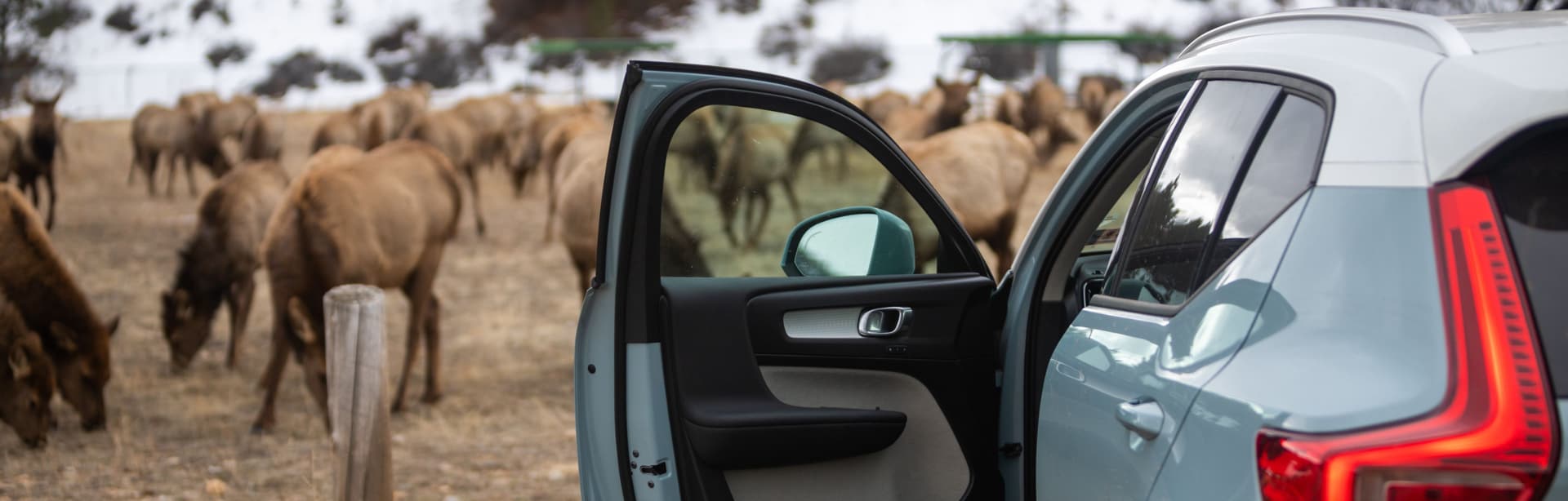 Sell Buy - Buying/Finance