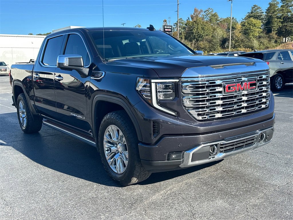 2022 Gmc Sierra 1500 Denali photo 3
