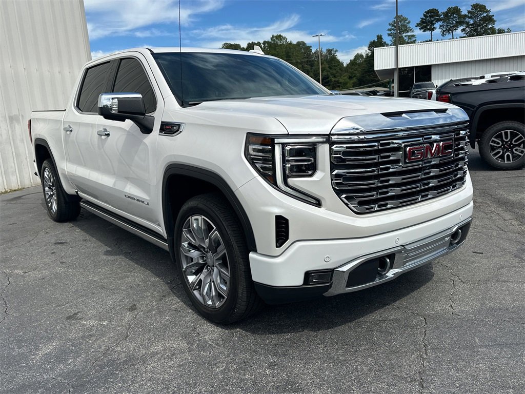 2023 Gmc Sierra 1500 Denali photo 4