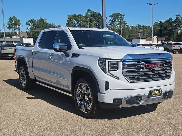 2026 GMC Sierra 1500 Denali - Photo 3