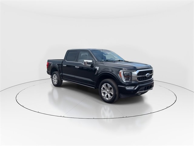 2023 Ford F-150 Platinum photo 2