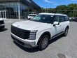  Hyundai Palisade Hybrid