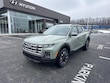 Hyundai Santa Cruz
