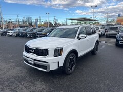 2025 Kia Telluride EX SUV