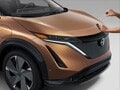 Nissan Ariya Accessories