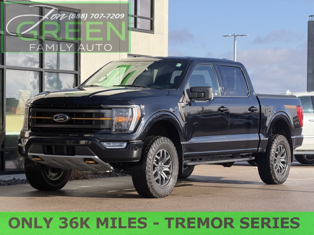 2023 Ford F-150 Tremor's photo