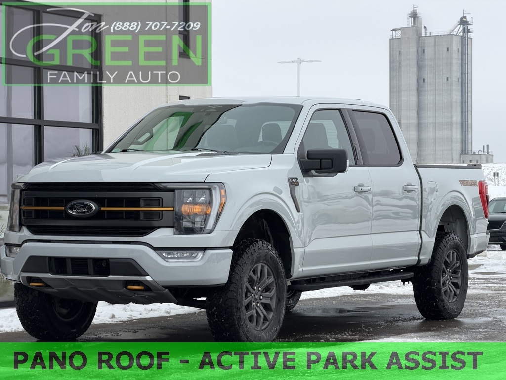 2023 Ford F-150 Tremor's photo