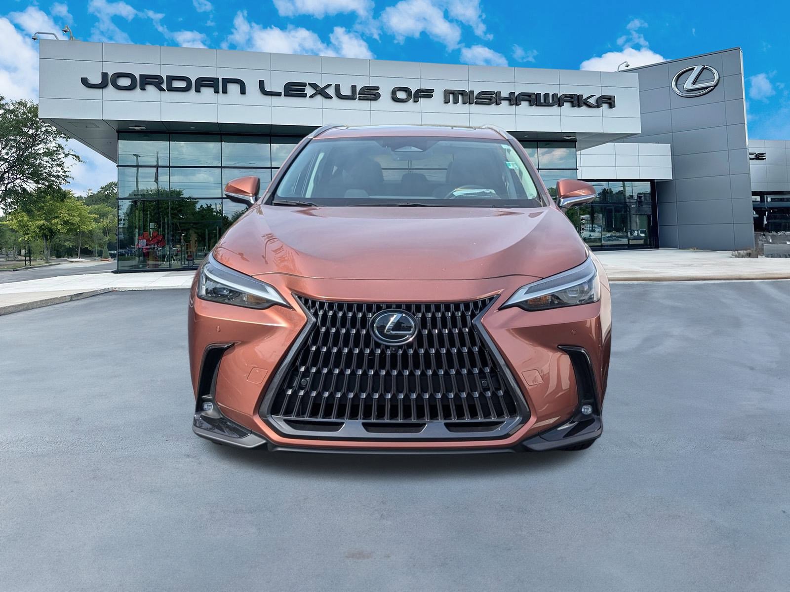 2025 Lexus NX Premium photo 3