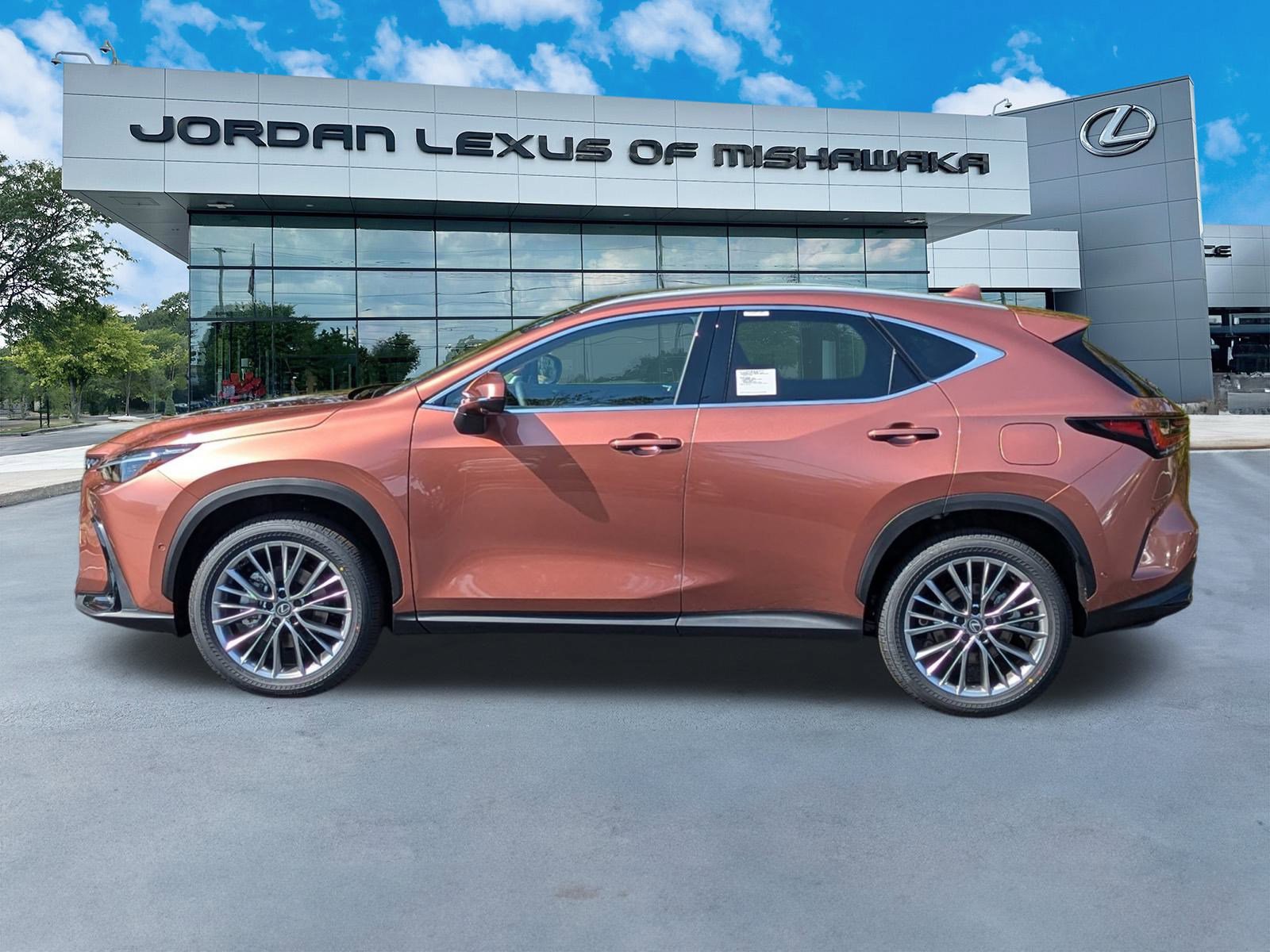 2026 Lexus NX Luxury photo 2