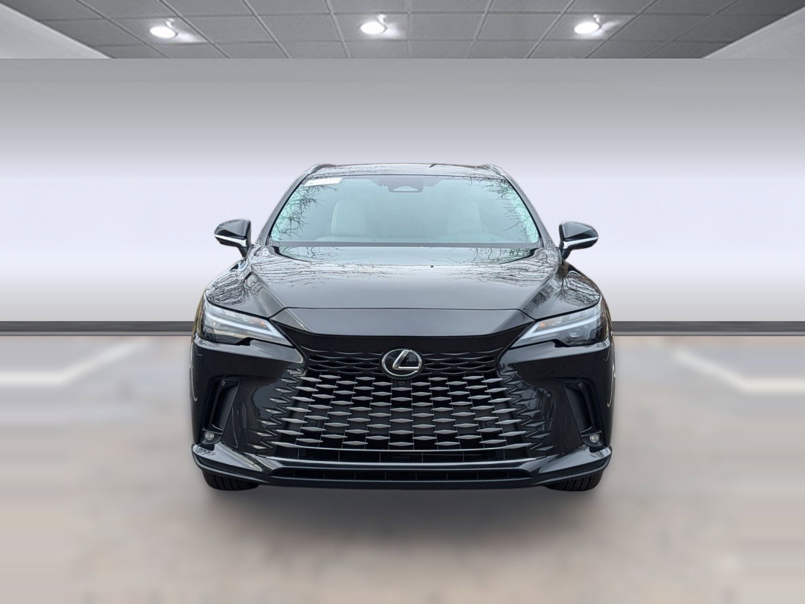 2026 Lexus RX 350 Premium - Photo 6
