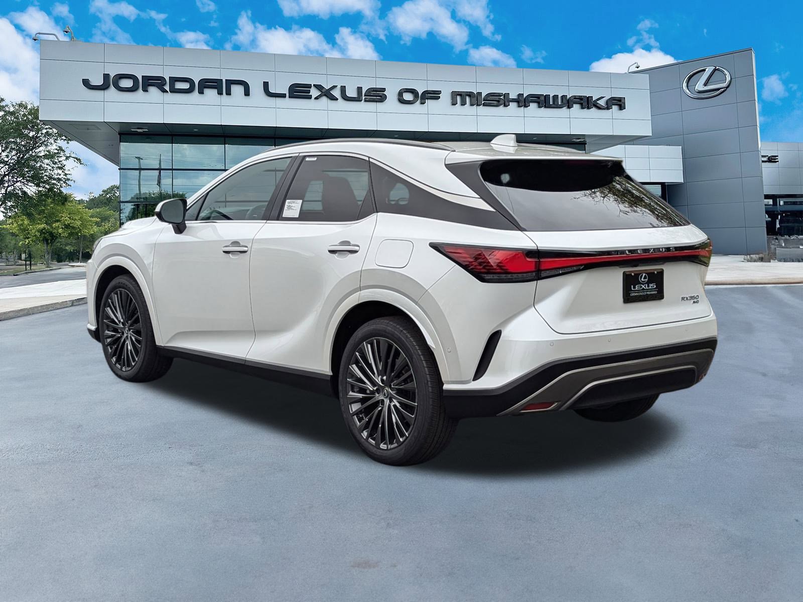 2025 Lexus RX 350 Luxury AWD photo 3