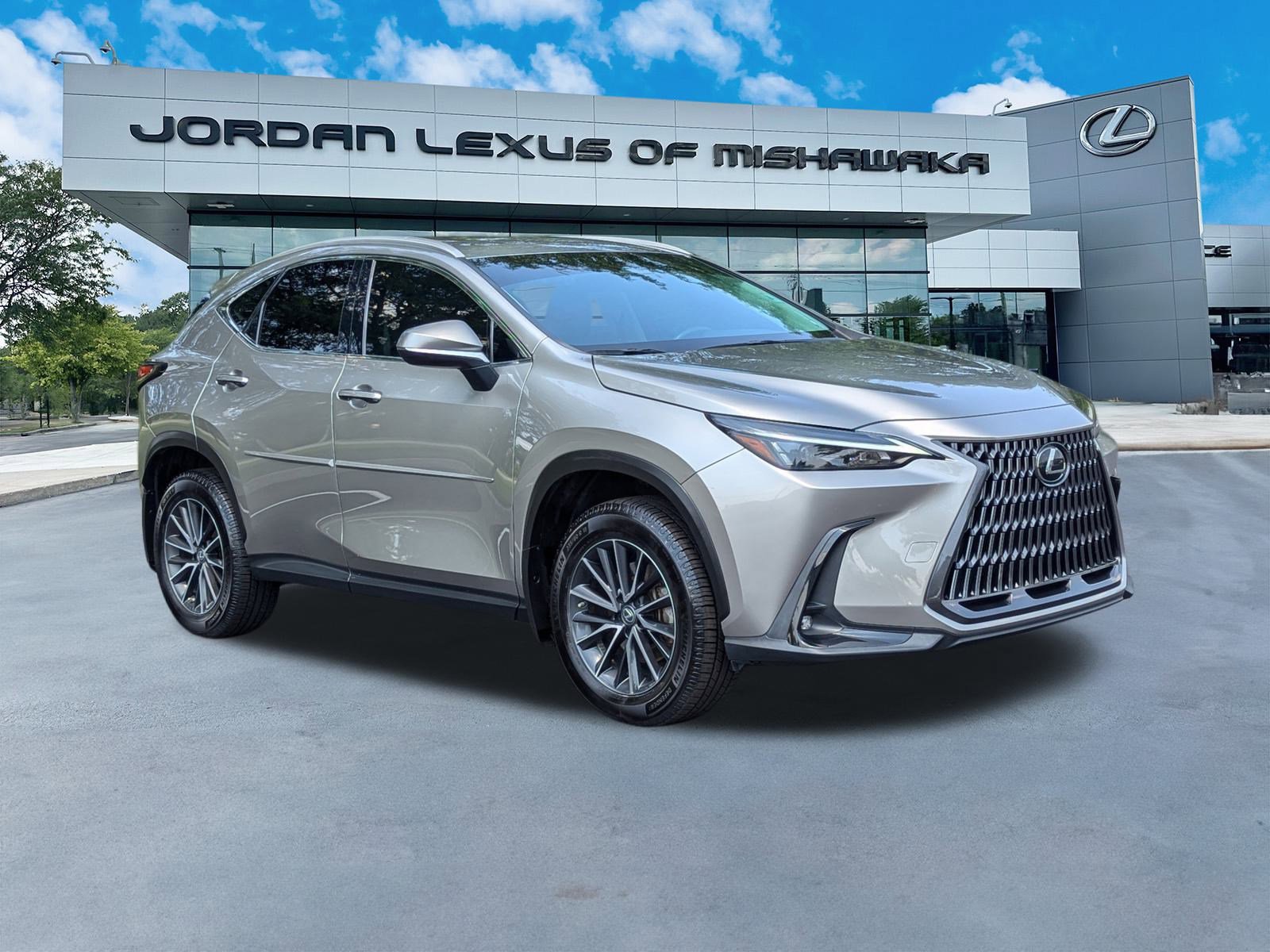 2022 Lexus NX 350h photo 2